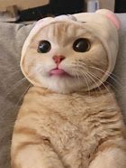 实名制已进行好长时间了，相信很多手机卡都已经实名认证了。但是小编相信，肯定会有漏网之鱼。不信就跟小编看看去！